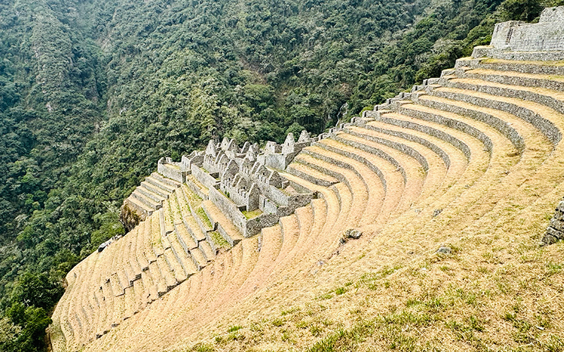 Impressive view of the agricultural terraces at Winaywayna, Inca Trail, Peru
