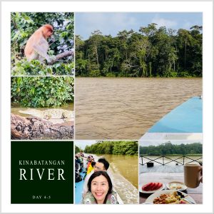 Kinabatangan River Sabah