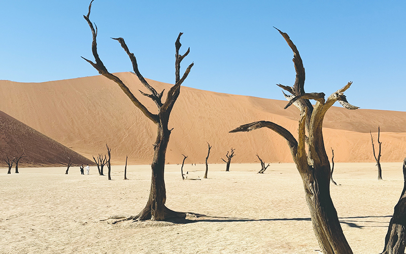 Deadvlei at Namibia