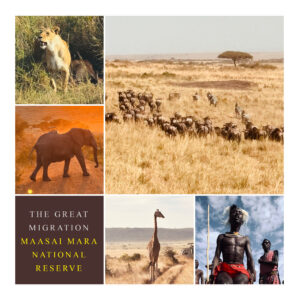 Great Migration Maasai Mara Africa