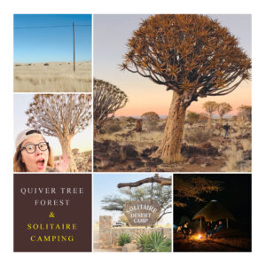 Quiver Tree Forest Namibia
