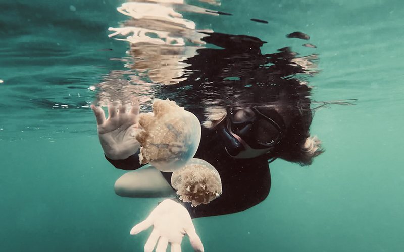 Jellyfish Lake at Togean Island