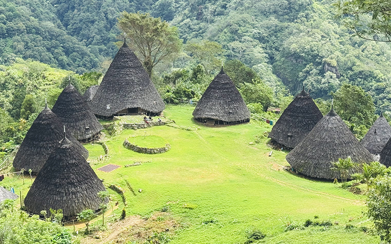 Wae Rebo Village