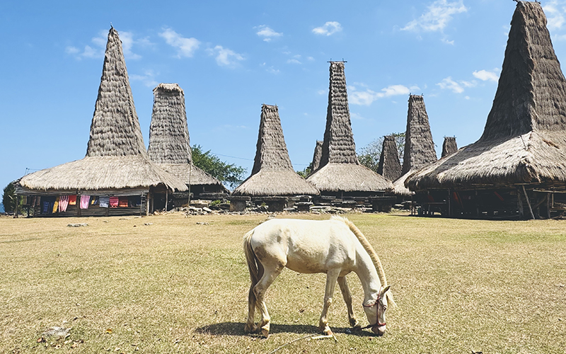 Sumba Island